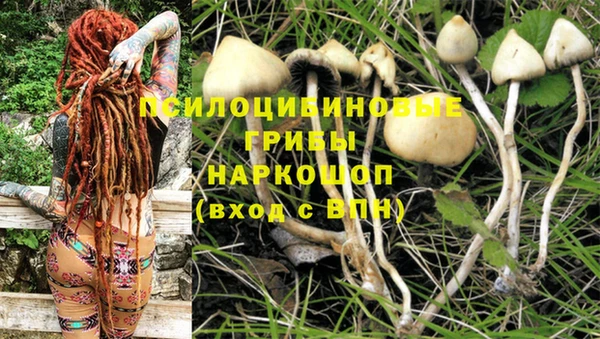 спиды Козловка