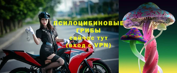 ешки Карпинск