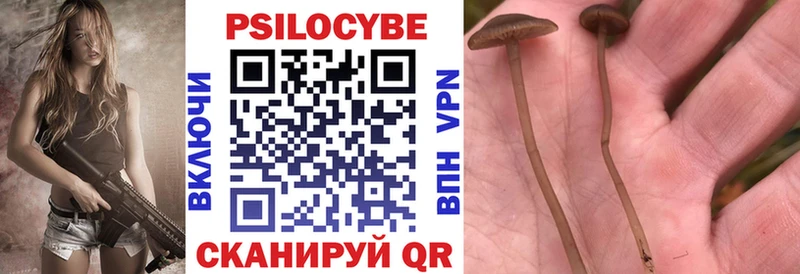 Псилоцибиновые грибы ЛСД где купить наркотик Красавино